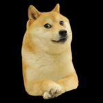 Doge wow