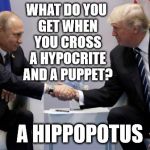 Putin's other hand is firmly up the Puppet's ass | WHAT DO YOU GET WHEN YOU CROSS A HYPOCRITE AND A PUPPET? A HIPPOPOTUS | image tagged in trump putin,putin's puppet,not a puppet,your a puppet,the russians did it | made w/ Imgflip meme maker