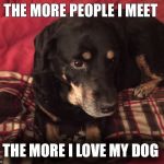 Dogs are awesome | THE MORE PEOPLE I MEET; THE MORE I LOVE MY DOG | image tagged in dogs | made w/ Imgflip meme maker