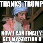 Klinger | THANKS, TRUMP; NOW I CAN FINALLY GET MY SECTION 8 | image tagged in klinger | made w/ Imgflip meme maker
