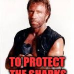 Chuck Norris | SWIMS IN A SHARK CAGE; TO PROTECT THE SHARKS | image tagged in chuck norris | made w/ Imgflip meme maker
