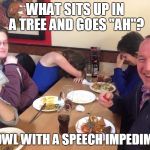 dad joke | WHAT SITS UP IN A TREE AND GOES "AH"? AN OWL WITH A SPEECH IMPEDIMENT | image tagged in dad joke | made w/ Imgflip meme maker