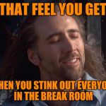 Nick Caged Bird Sings | THAT FEEL YOU GET; WHEN YOU STINK OUT EVERYONE IN THE BREAK ROOM | image tagged in nick caged bird sings | made w/ Imgflip meme maker