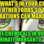 monsantoo | THIS IS WHAT'S IN YOUR CHEERIOS AND OTHER FOODS SO THAT CORPORATIONS CAN MAKE MONEY; ELIMINATE CHEMICALS IN OUR FOODS ELIMINATE MONSANTO | image tagged in monsantoo | made w/ Imgflip meme maker
