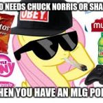 True! | WHO NEEDS CHUCK NORRIS OR SHARKS; WHEN YOU HAVE AN MLG PONY! | image tagged in mlg pony,memes,chuck norris,sharks,ponies,true | made w/ Imgflip meme maker