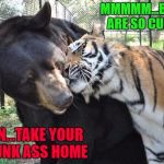 Tiger Week July 24 - 31...A TigerLegend1046 Event | MMMMM...BEARS ARE SO CUDDLY; MAN...TAKE YOUR DRUNK ASS HOME | image tagged in tiger loving bear,memes,tiger week,tigers,funny,animals | made w/ Imgflip meme maker