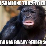 Huh? | WHEN SOMEONE TRIES TO EXPLAIN; THE NEW NON BINARY GENDER SCALE... | image tagged in huh | made w/ Imgflip meme maker