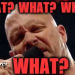 stone cold what | WHAT?  WHAT?  WHAT? WHAT? | image tagged in stone cold what | made w/ Imgflip meme maker