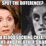 Nancy Pelosi | SPOT THE DIFFERENCE? ONE'S A BLOOD SUCKING CREATURE OF THE NIGHT, AND THE OTHER'S A VAMPIRE! | image tagged in nancy pelosi | made w/ Imgflip meme maker