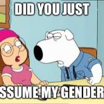 Family Guy | DID YOU JUST; ASSUME MY GENDER? | image tagged in family guy | made w/ Imgflip meme maker