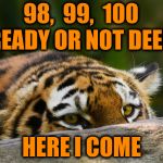 I think the tiger cheats at hide-and-seek | 98,  99,  100; READY OR NOT DEER; HERE I COME | image tagged in hidden tiger,hide and seek,joke | made w/ Imgflip meme maker