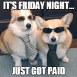 friday meme | IT'S FRIDAY NIGHT... JUST GOT PAID | image tagged in dogs goin out,funny memes,cute baby,cute dogs | made w/ Imgflip meme maker