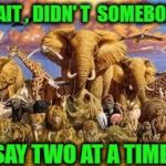 animals | WAIT , DIDN' T  SOMEBODY; SAY TWO AT A TIME | image tagged in animals | made w/ Imgflip meme maker