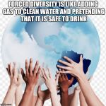 Diversity | FORCED DIVERSITY IS LIKE ADDING GAS TO CLEAN WATER AND PRETENDING THAT IT IS SAFE TO DRINK | image tagged in diversity | made w/ Imgflip meme maker