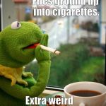 Bug * * * * * * * * * * * * cigs | Flies ground up into cigarettes. Extra weird cancer ahead. | image tagged in funny,kermit the frog,dark humor,animals,memes,cancer | made w/ Imgflip meme maker