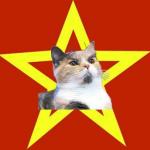 Lenin Cat meme