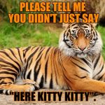 BIG kitty! Tiger Week, a TigerLegend1046 event | PLEASE TELL ME YOU DIDN'T JUST SAY; "HERE KITTY KITTY". | image tagged in tiger week,tigerlegend1046,tiger,here kitty kitty,big kitty,please tell me you didn't just say that | made w/ Imgflip meme maker