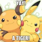 Pokemon Meme Contest Entry : 2013pokepro | YAY! A TIGER! | image tagged in pokemon meme contest entry  2013pokepro | made w/ Imgflip meme maker