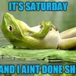 Lazy frog | IT'S SATURDAY; ... AND I AINT DONE SHIT | image tagged in lazy frog,saturday,lazy,work,lazy town,no work | made w/ Imgflip meme maker