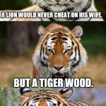 True story for Tiger Week, a TigerLegend1046 event | A LION WOULD NEVER CHEAT ON HIS WIFE. BUT A TIGER WOOD. | image tagged in tiger puns,tiger woods,cheating husband,lion | made w/ Imgflip meme maker