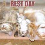 Sunday Mode | REST DAY | image tagged in sunday mode | made w/ Imgflip meme maker
