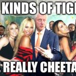 Tigers or cheetahs | ALL KINDS OF TIGERS; ARE REALLY CHEETAHS | image tagged in clinton women before,tiger week,cheaters,cheetah,memes | made w/ Imgflip meme maker