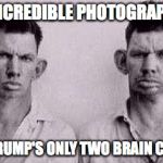 Paycoin idiots GAW | INCREDIBLE PHOTOGRAPH; OF TRUMP'S ONLY TWO BRAIN CELLS | image tagged in paycoin idiots gaw | made w/ Imgflip meme maker