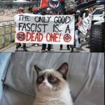 Grumpy Cat vs Antifa