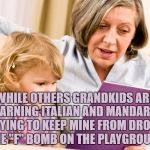 Grandma reading | WHILE OTHERS GRANDKIDS ARE LEARNING ITALIAN AND MANDARIN, IM TRYING TO KEEP MINE FROM DROPPING THE "F" BOMB ON THE PLAYGROUND | image tagged in grandma,grandkids,funny,funny memes,memes,fuck | made w/ Imgflip meme maker
