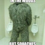 Bigfoot | YES A BEAR GOES IN THE WOODS; BUT SQUACHES PREFER RESTROOMS | image tagged in bigfoot | made w/ Imgflip meme maker