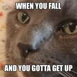 Looking cat | WHEN YOU FALL; AND YOU GOTTA GET UP | image tagged in looking cat | made w/ Imgflip meme maker