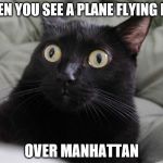 PLANE FLYING LOW OVER MANHATTAN | WHEN YOU SEE A PLANE FLYING LOW; OVER MANHATTAN | image tagged in 9/11,oh shit,wtf,al qaeda,isis,nyc | made w/ Imgflip meme maker