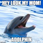 Adolf Hitler Will Laugh... | HEY LOOK MY MOM! ADOLPHIN | image tagged in dolphin ayy lmao,memes,adolf hitler laughing,bad pun | made w/ Imgflip meme maker