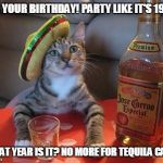 Tequila Cat On Birthdays | IT'S YOUR BIRTHDAY! PARTY LIKE IT'S 1999! WHAT YEAR IS IT? NO MORE FOR TEQUILA CAT... | image tagged in tequila cat,birthday,cats | made w/ Imgflip meme maker