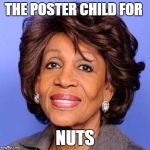 WHEN I THINK OF INSANITY I THINK OF MAXINE WATERS | THE POSTER CHILD FOR; NUTS | image tagged in maxine waters | made w/ Imgflip meme maker