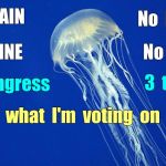 Jellyfish in Congress | No  HEART; No  BRAIN; No  SPINE; No GUTS; In  Congress; 3  terms; " READ  what  I'm  voting  on  ? ! ? " | image tagged in jellyfish,congress,memes,catastrophic trumpcare | made w/ Imgflip meme maker