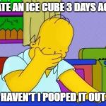 OMG homer | I ATE AN ICE CUBE 3 DAYS AGO; WHY HAVEN'T I POOPED IT OUT YET? | image tagged in omg homer | made w/ Imgflip meme maker