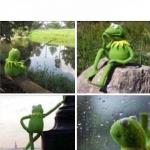 KERMIT - FOREVER ALONE