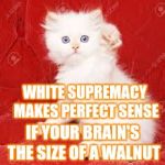 Nazi Kitty | WHITE SUPREMACY MAKES PERFECT SENSE; IF YOUR BRAIN'S THE SIZE OF A WALNUT | image tagged in nazi kitty | made w/ Imgflip meme maker