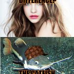 catfish | NOTICE THE DIFFERENCE? THE CATFISH IS REAL. | image tagged in catfish,scumbag | made w/ Imgflip meme maker