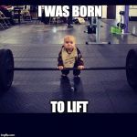 M.C.Fitness | I WAS BORN; TO LIFT | image tagged in mcfitness | made w/ Imgflip meme maker