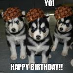 angry puppies | YO! HAPPY BIRTHDAY!! | image tagged in angry puppies,scumbag | made w/ Imgflip meme maker