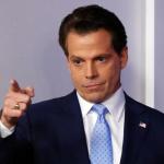 Anthony Scaramucci Out meme