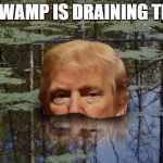 swampy | THE SWAMP IS DRAINING TRUMP | image tagged in swampy | made w/ Imgflip meme maker