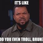 For Real bruh? | IT'S LIKE; DO YOU EVEN TROLL, BRUH? | image tagged in for real bruh | made w/ Imgflip meme maker