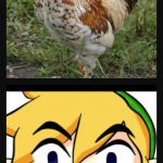 His One True Enemy | EVIL DOERS BEWARE! I AM LINK, HERO OF HYRULE!  DESTROYER OF GANNON!  NO VILLAIN MAY STAND BEFORE MY... | image tagged in link chicken,zelda | made w/ Imgflip meme maker