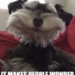 Happy Tuesday!!  | KEEP SMILING; IT MAKES PEOPLE WONDER WHAT YOU ARE UP TO! | image tagged in happy tuesday | made w/ Imgflip meme maker