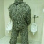 Bigfoot | NO THOSE ARE NOT; MY BUTT CHEEKS | image tagged in bigfoot | made w/ Imgflip meme maker