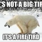 pooping bear | IT'S NOT A BIG TIRD; IT'S A FIRE TIRD | image tagged in pooping bear | made w/ Imgflip meme maker