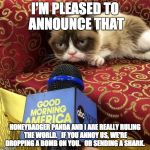 grumpy cat news | I'M PLEASED TO ANNOUNCE THAT; HONEYBADGER PANDA AND I ARE REALLY RULING THE WORLD.   IF YOU ANNOY US, WE'RE DROPPING A BOMB ON YOU.   OR SENDING A SHARK. | image tagged in grumpy cat news | made w/ Imgflip meme maker